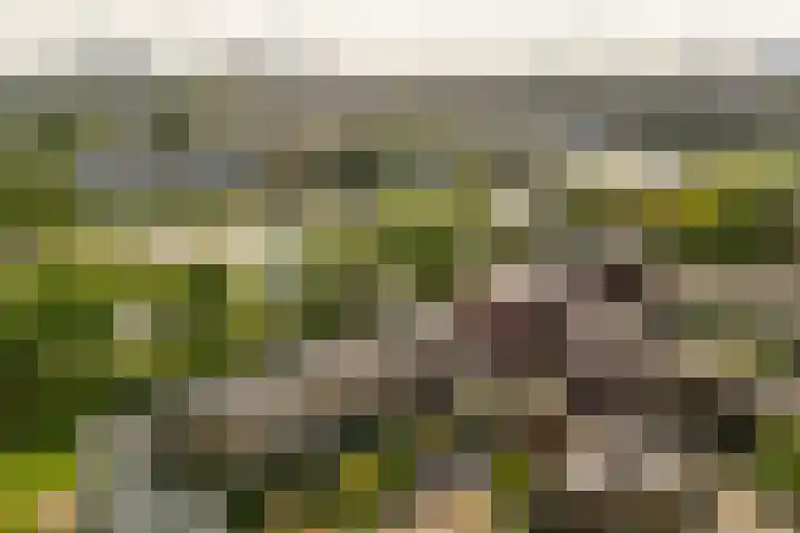 Guldenplantsoen 41 Utrecht thumbnail 45