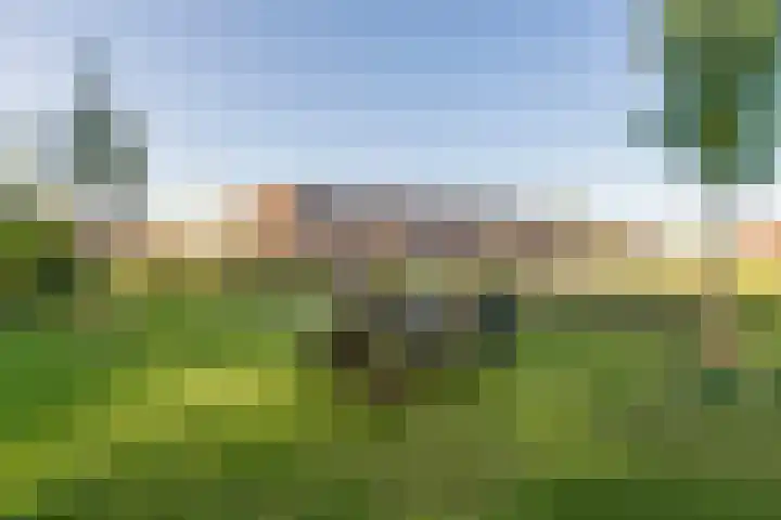 Guldenplantsoen 41 Utrecht thumbnail 51