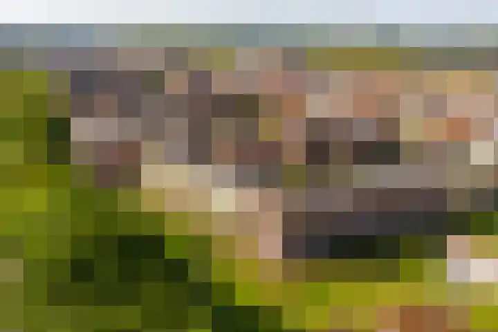 Guldenplantsoen 41 Utrecht thumbnail 52