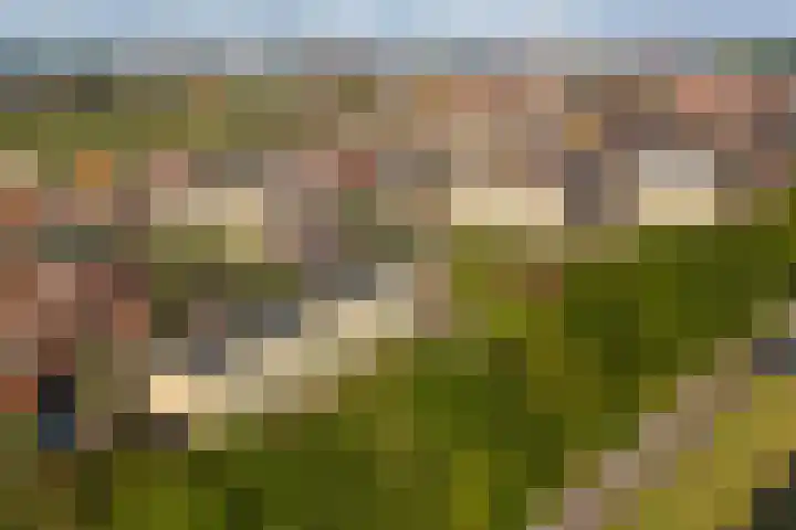 Guldenplantsoen 41 Utrecht thumbnail 53