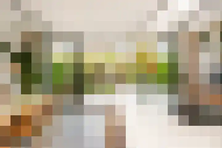 Guldenplantsoen 41 Utrecht thumbnail 6