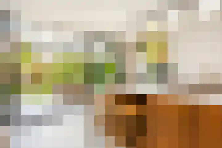 Guldenplantsoen 41 Utrecht thumbnail 8