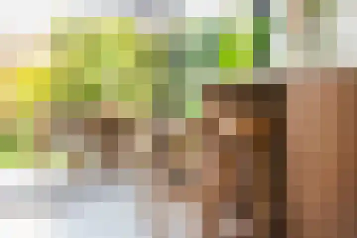 Guldenplantsoen 41 Utrecht thumbnail 9