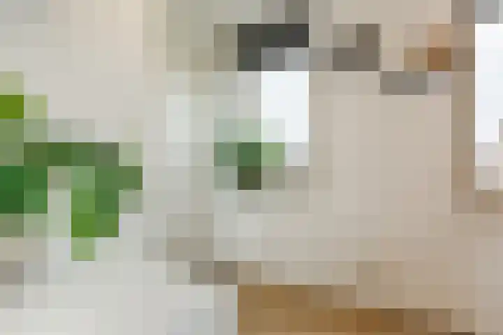 Guldenplantsoen 42 Utrecht thumbnail 11