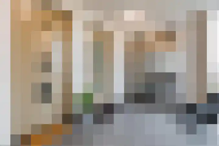 Guldenplantsoen 42 Utrecht thumbnail 21