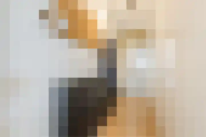 Guldenplantsoen 42 Utrecht thumbnail 22