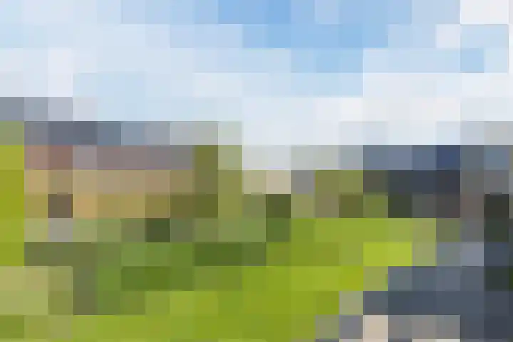 Guldenplantsoen 42 Utrecht thumbnail 24
