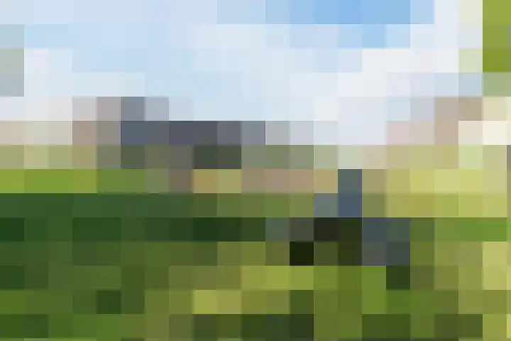 Guldenplantsoen 42 Utrecht thumbnail 27