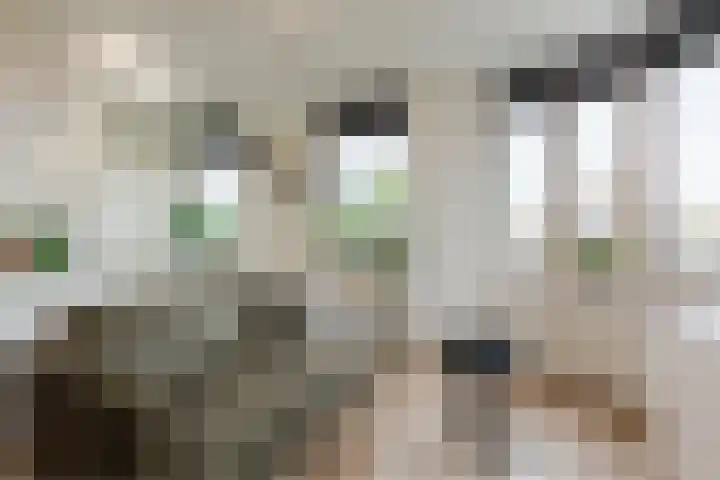 Guldenplantsoen 42 Utrecht thumbnail 4