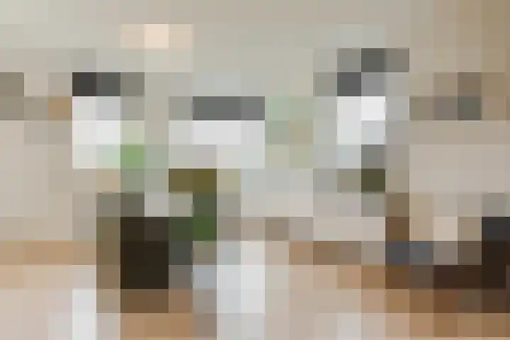 Guldenplantsoen 42 Utrecht thumbnail 6