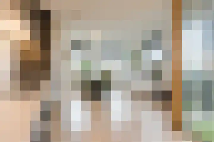 Guldenplantsoen 42 Utrecht thumbnail 7