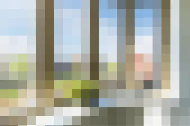 Guldenplantsoen 42 Utrecht thumbnail 8