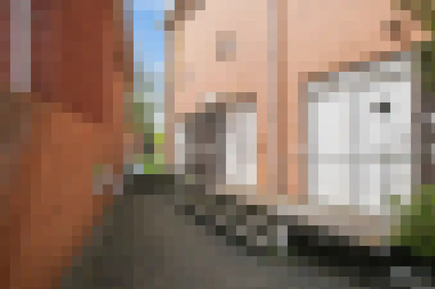 Guldenpromenade 15 Amsterdam thumbnail 12