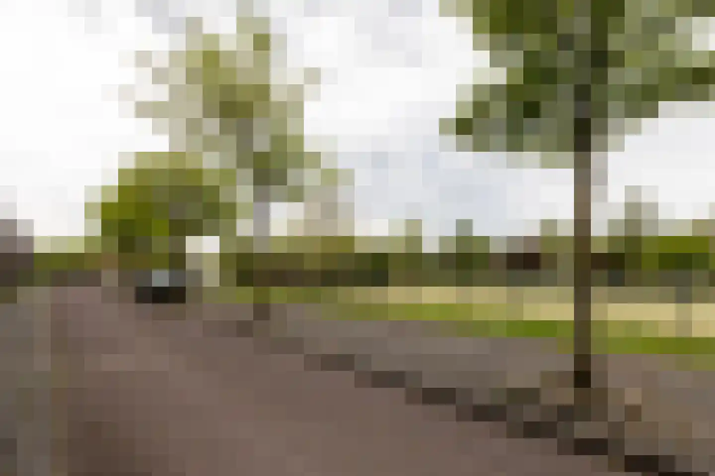 Guldenpromenade 7 Amsterdam thumbnail 35