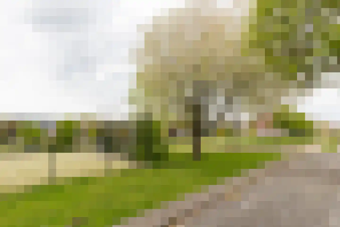 Guldenpromenade 7 Amsterdam thumbnail 36