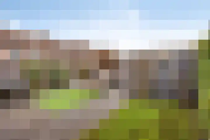 Guldenroede 1 IJsselstein thumbnail 31