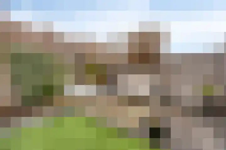 Guldenroede 1 IJsselstein thumbnail 33