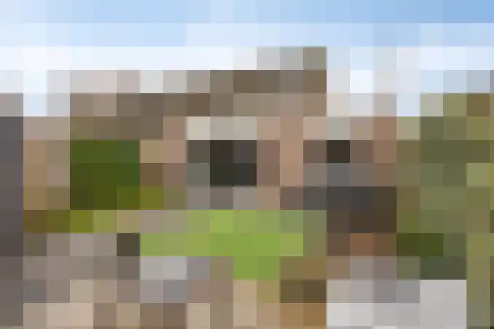 Guldenroede 1 IJsselstein thumbnail 5
