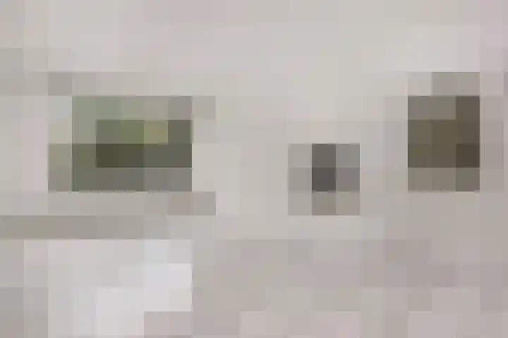Guldenroede 1 Nieuwegein thumbnail 10