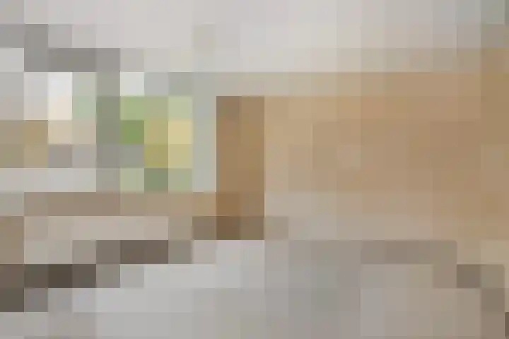 Guldenroede 1 Nieuwegein thumbnail 17