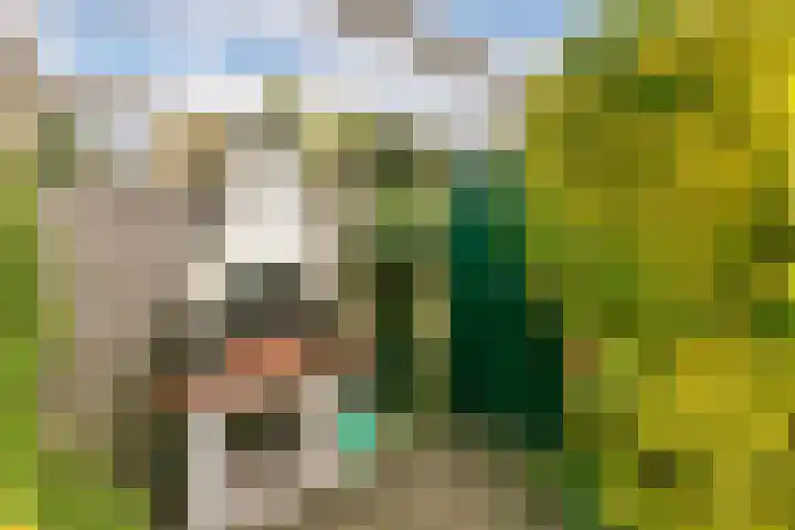 Guldenroede 1 Nieuwegein thumbnail 30