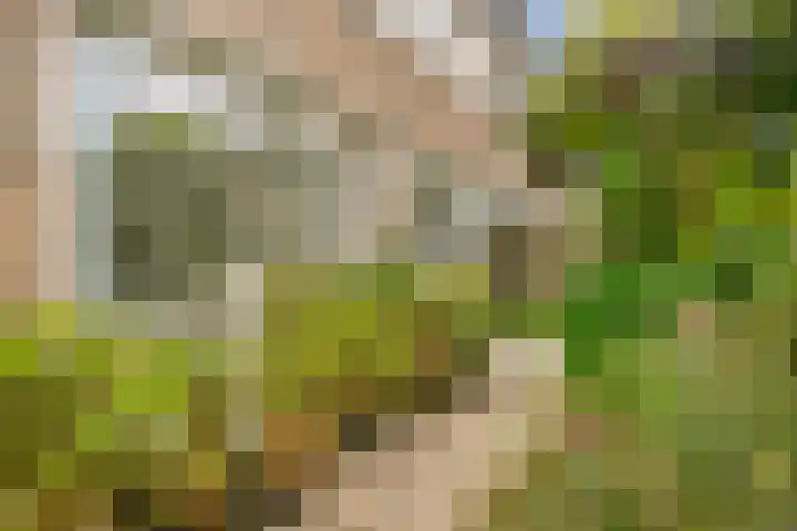 Guldenroede 1 Nieuwegein thumbnail 4