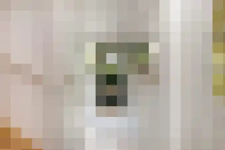 Guldenroede 1 Nieuwegein thumbnail 5