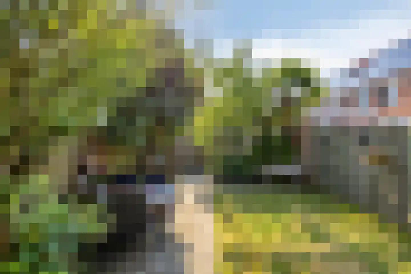 Guldenroede 10 IJsselstein thumbnail 39