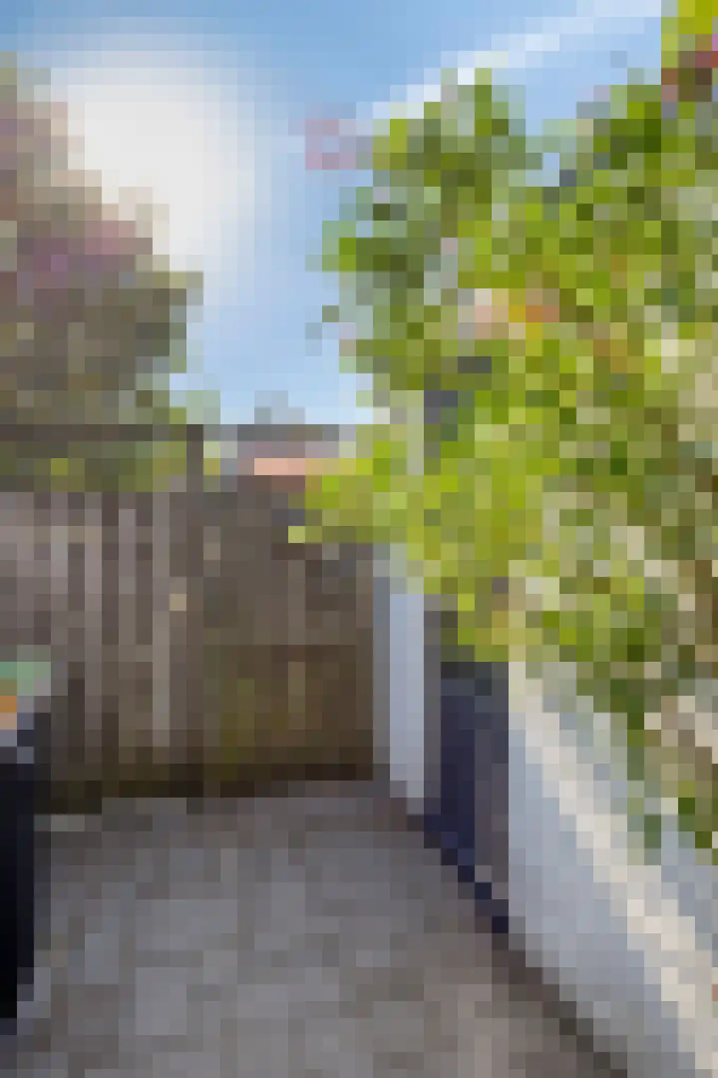 Guldenroede 10 IJsselstein thumbnail 47