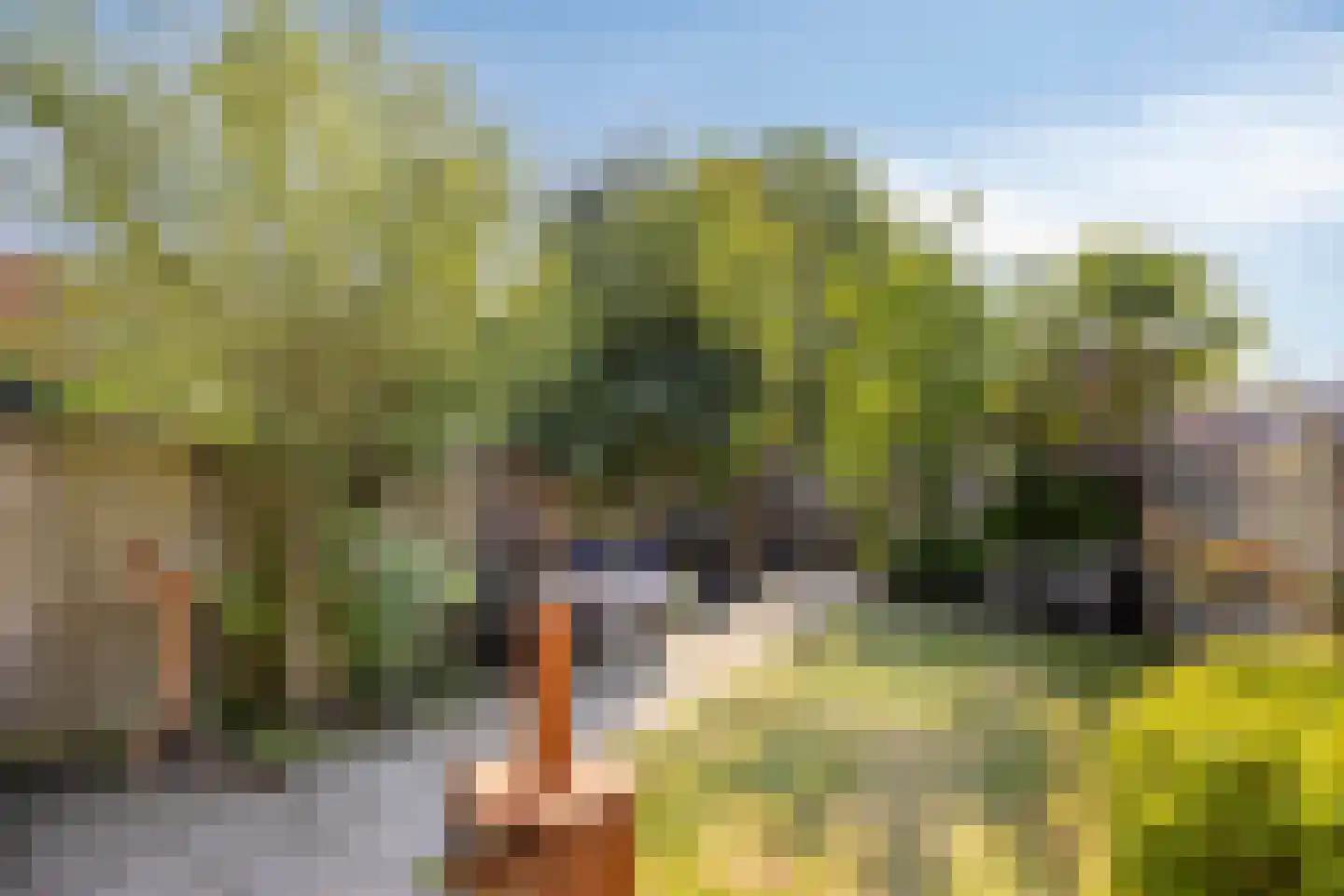 Guldenroede 10 IJsselstein thumbnail 6