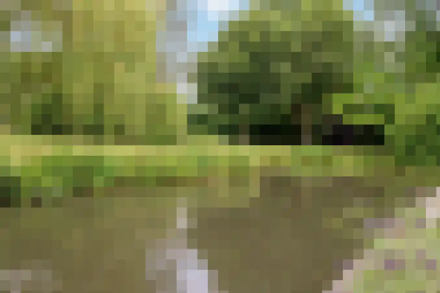 Guldenroede 10 Nieuwegein thumbnail 27