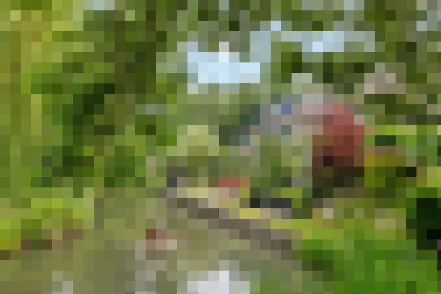 Guldenroede 10 Nieuwegein thumbnail 31