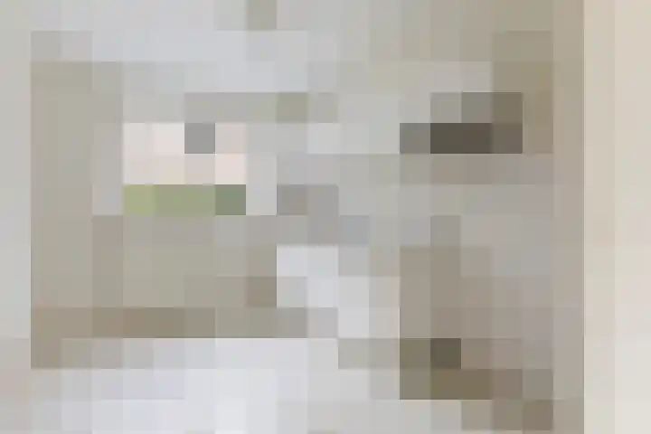 Guldenroede 2 Deventer thumbnail 11