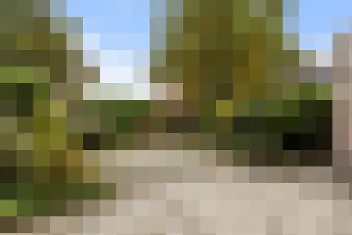 Guldenroede 2 Deventer thumbnail 16