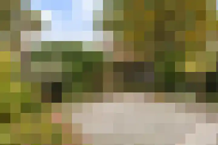 Guldenroede 2 Deventer thumbnail 18