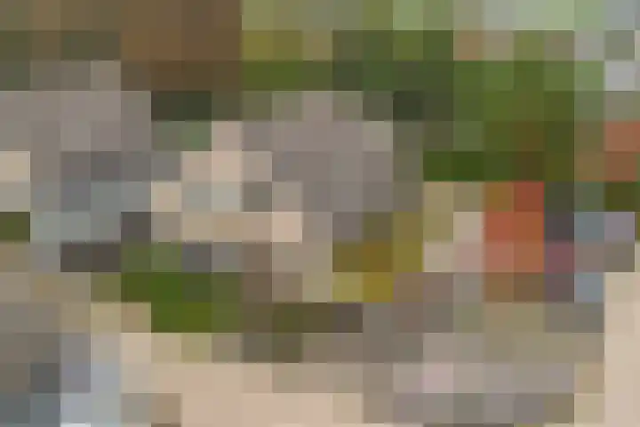 Guldenroede 2 Deventer thumbnail 32