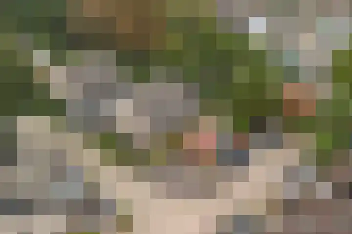 Guldenroede 2 Deventer thumbnail 33
