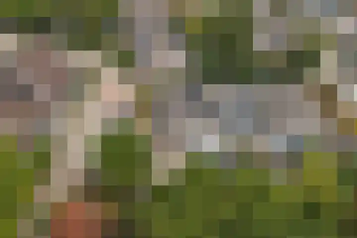 Guldenroede 2 Deventer thumbnail 34