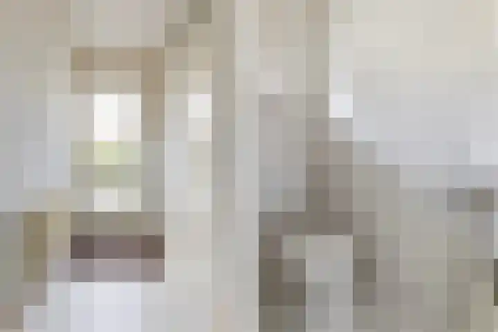 Guldenroede 2 Deventer thumbnail 7