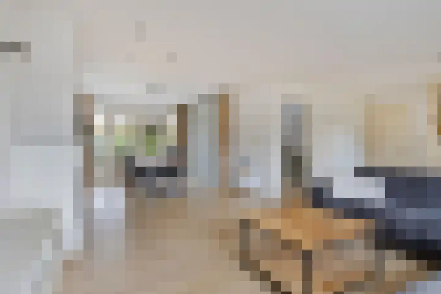 Guldenroede 3 Halsteren thumbnail 13