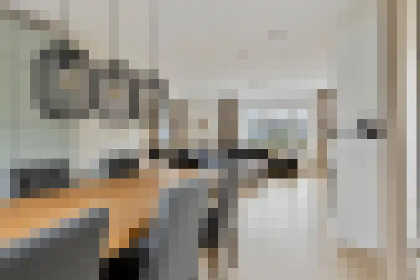 Guldenroede 3 Halsteren thumbnail 16