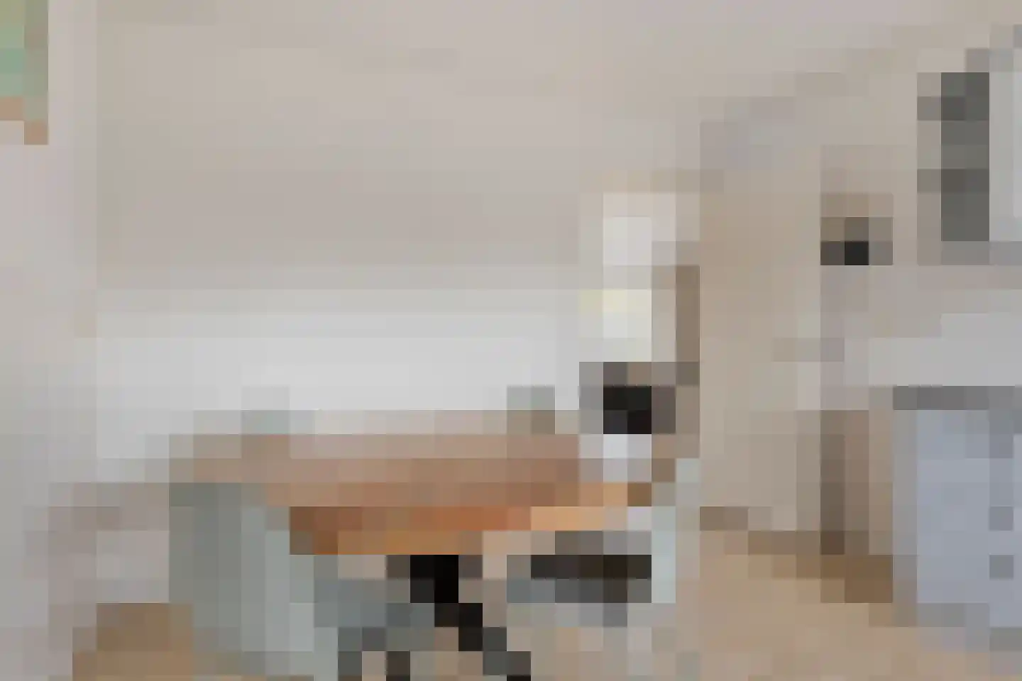Guldenroede 3 Halsteren thumbnail 20