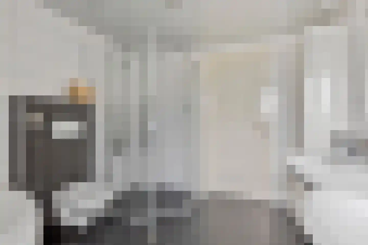 Guldenroede 3 Halsteren thumbnail 33