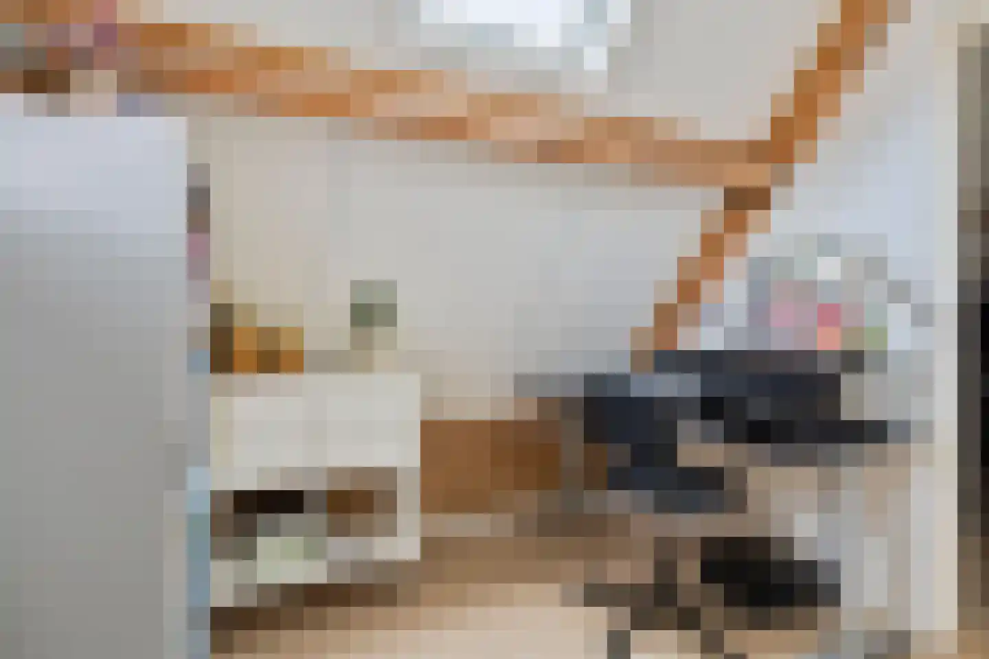 Guldenroede 3 Halsteren thumbnail 37