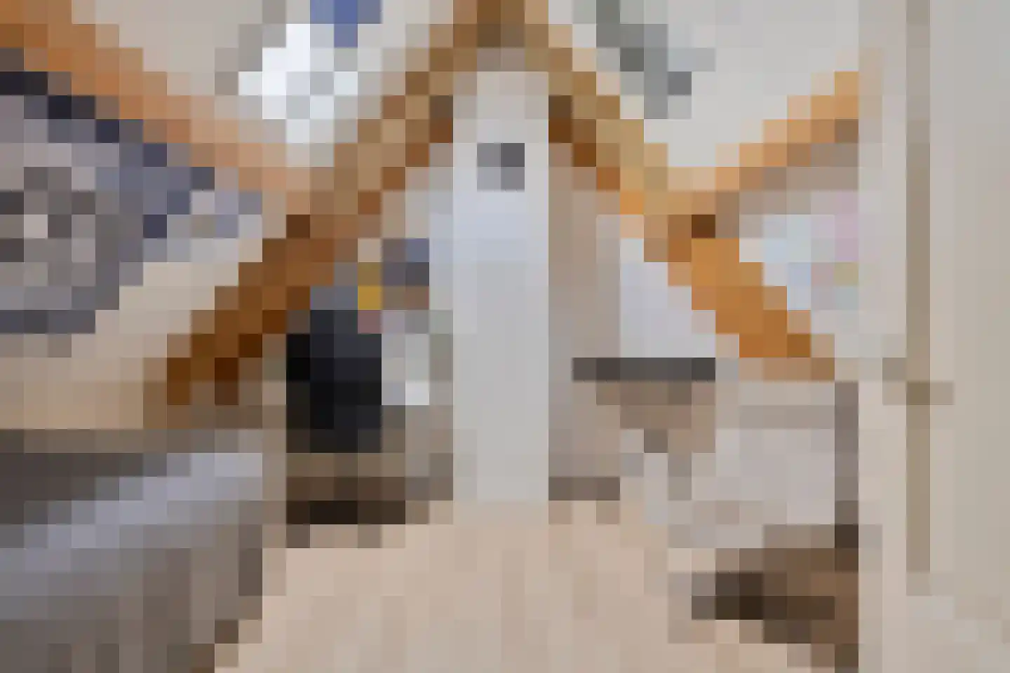 Guldenroede 3 Halsteren thumbnail 38