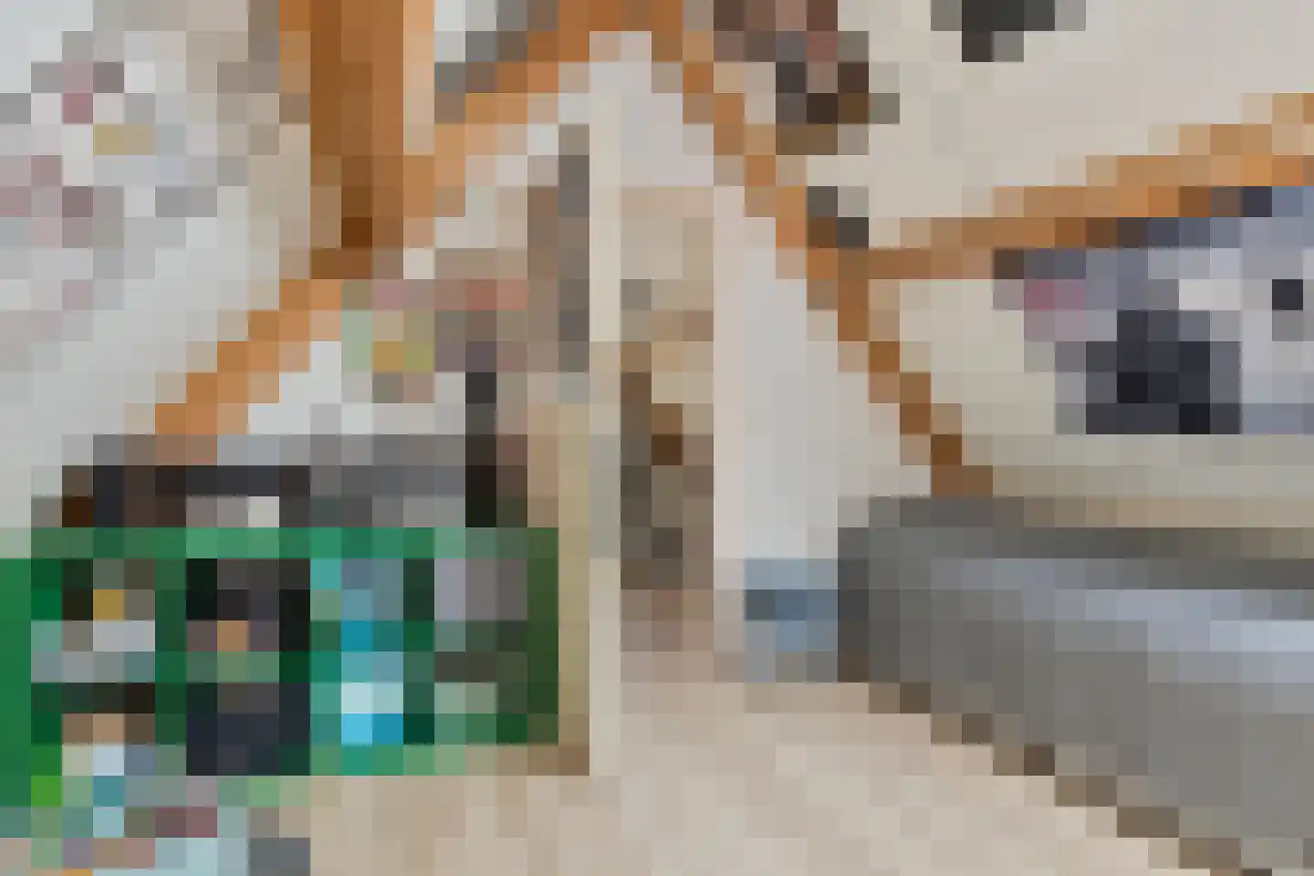 Guldenroede 3 Halsteren thumbnail 39
