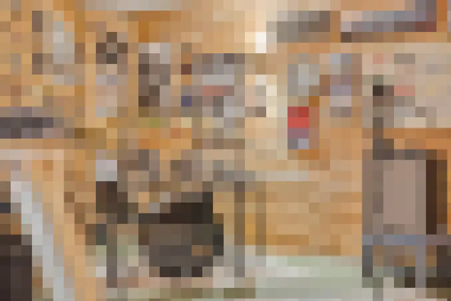 Guldenroede 3 Halsteren thumbnail 43