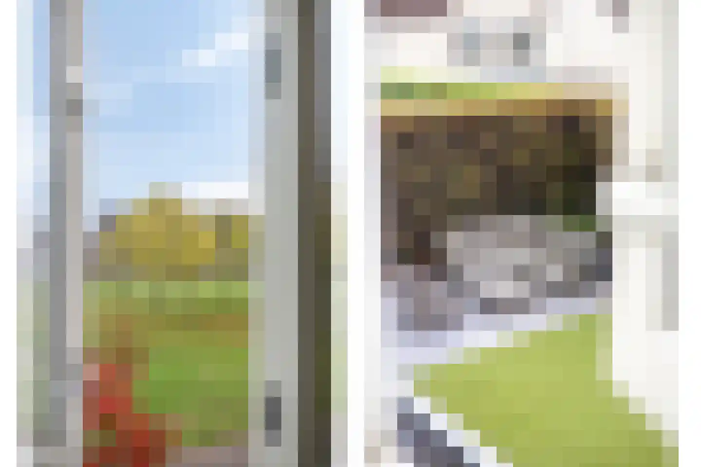 Guldenroede 3 Halsteren thumbnail 57