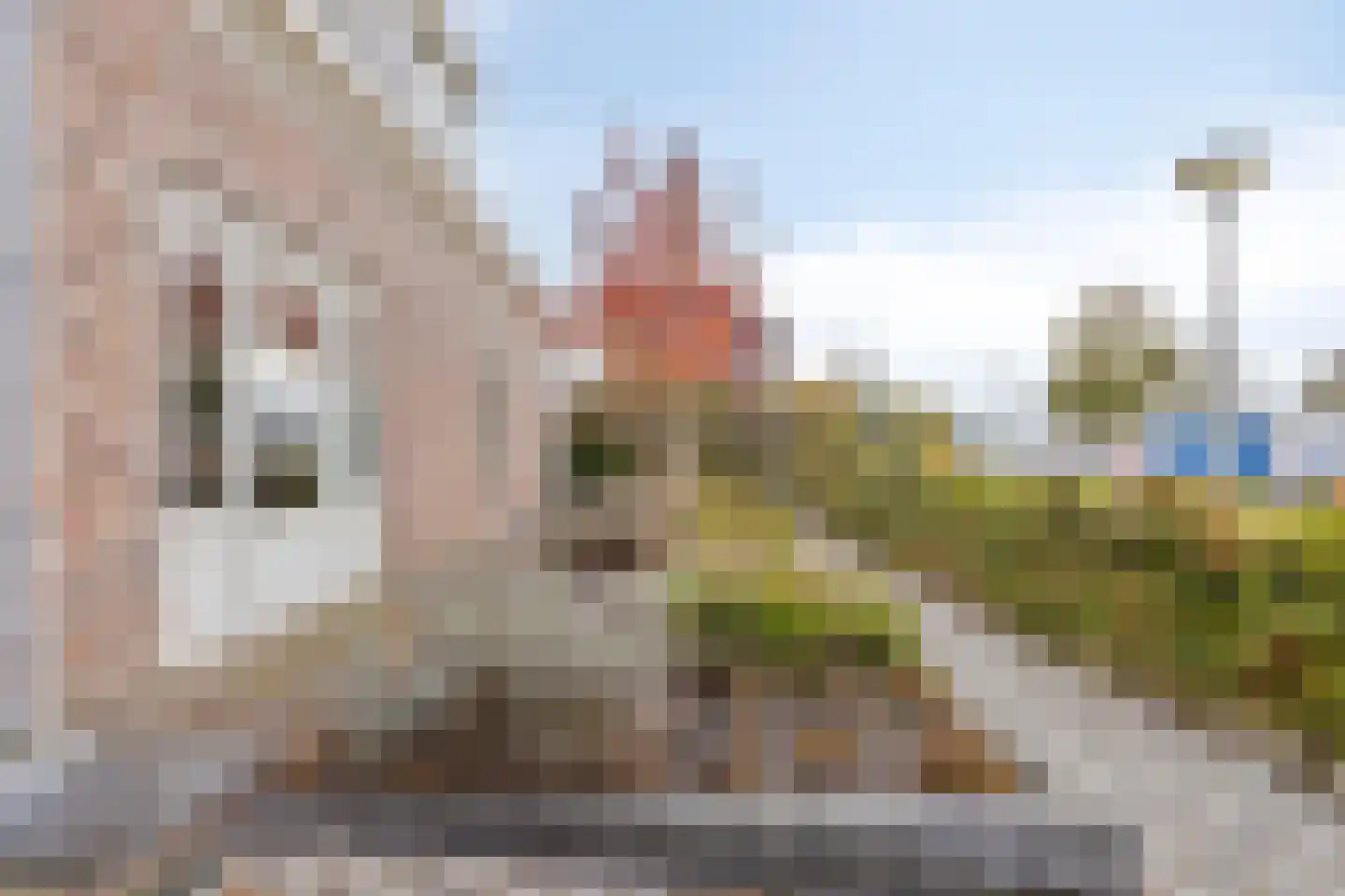 Guldenroede 3 Halsteren thumbnail 63