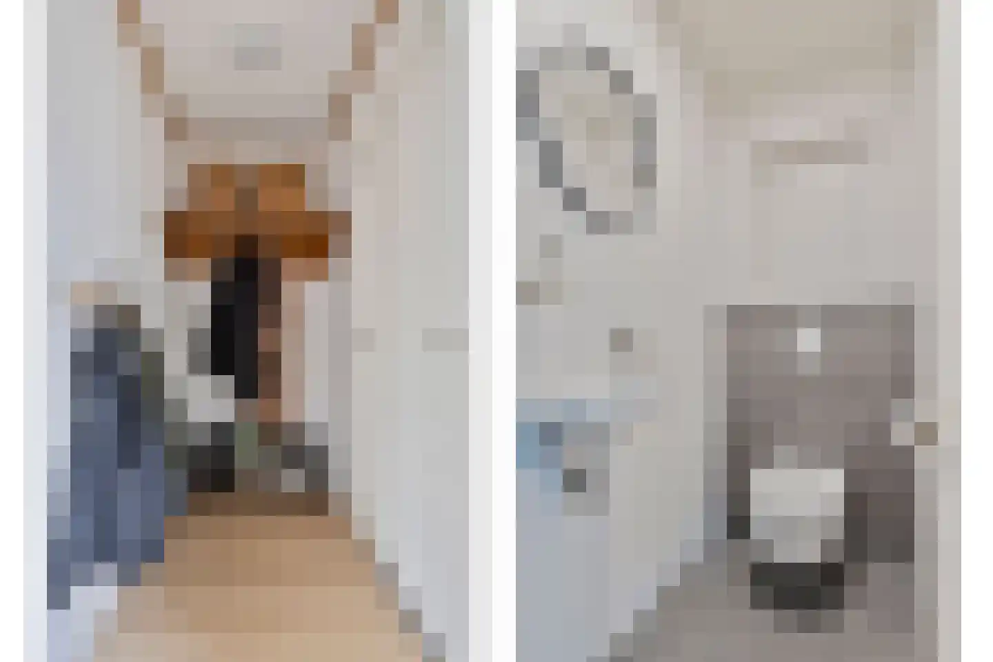 Guldenroede 3 Halsteren thumbnail 7